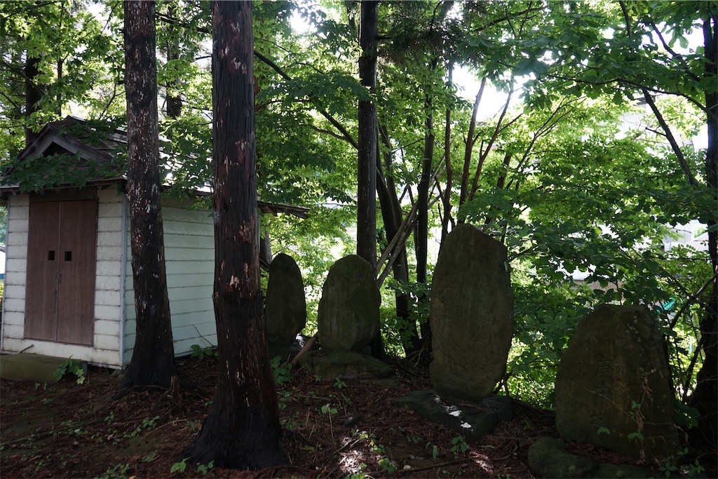 f:id:nagatorowo2:20241111211155j:image f:id:nagatorowo2:20241111211155j:image