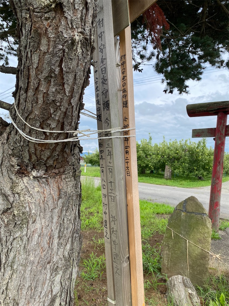 f:id:nagatorowo2:20241123034850j:image