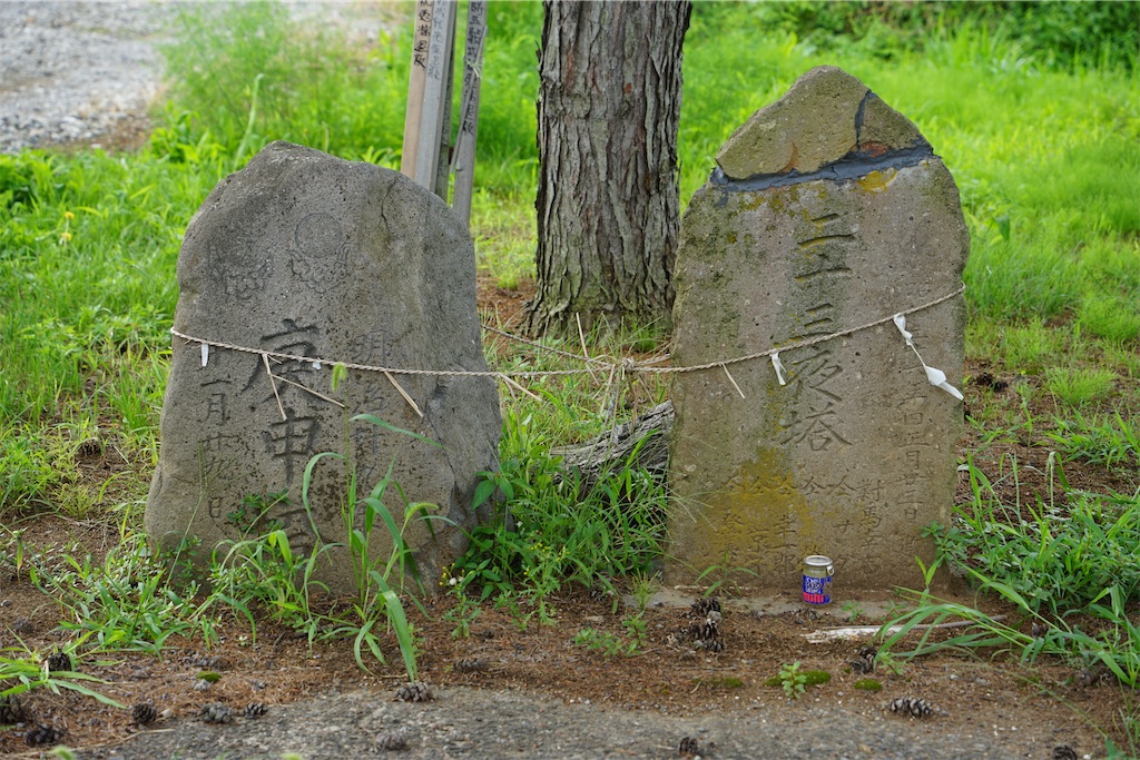 f:id:nagatorowo2:20241123034858j:image