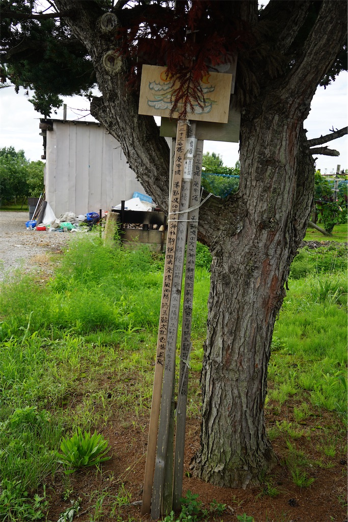 f:id:nagatorowo2:20241123034902j:image