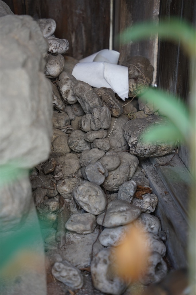 f:id:nagatorowo2:20241126135712j:image