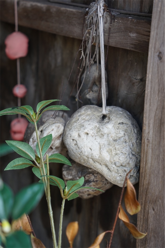 f:id:nagatorowo2:20241126135843j:image