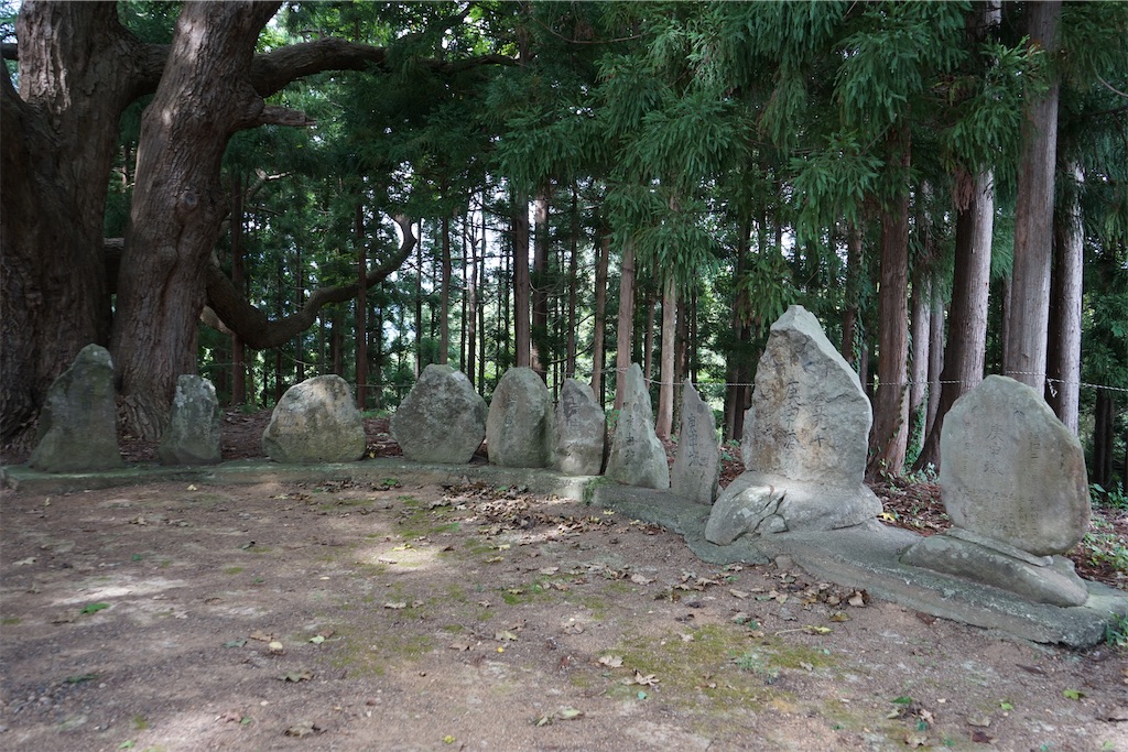 f:id:nagatorowo2:20241128132312j:image