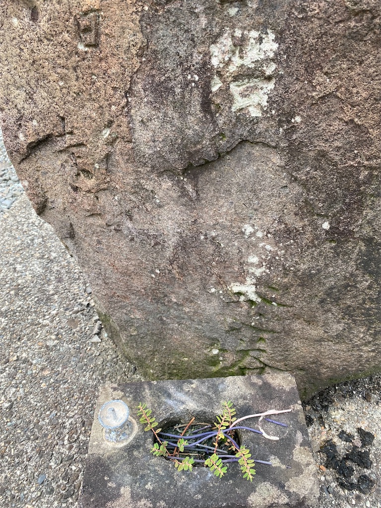 f:id:nagatorowo2:20241202174830j:image