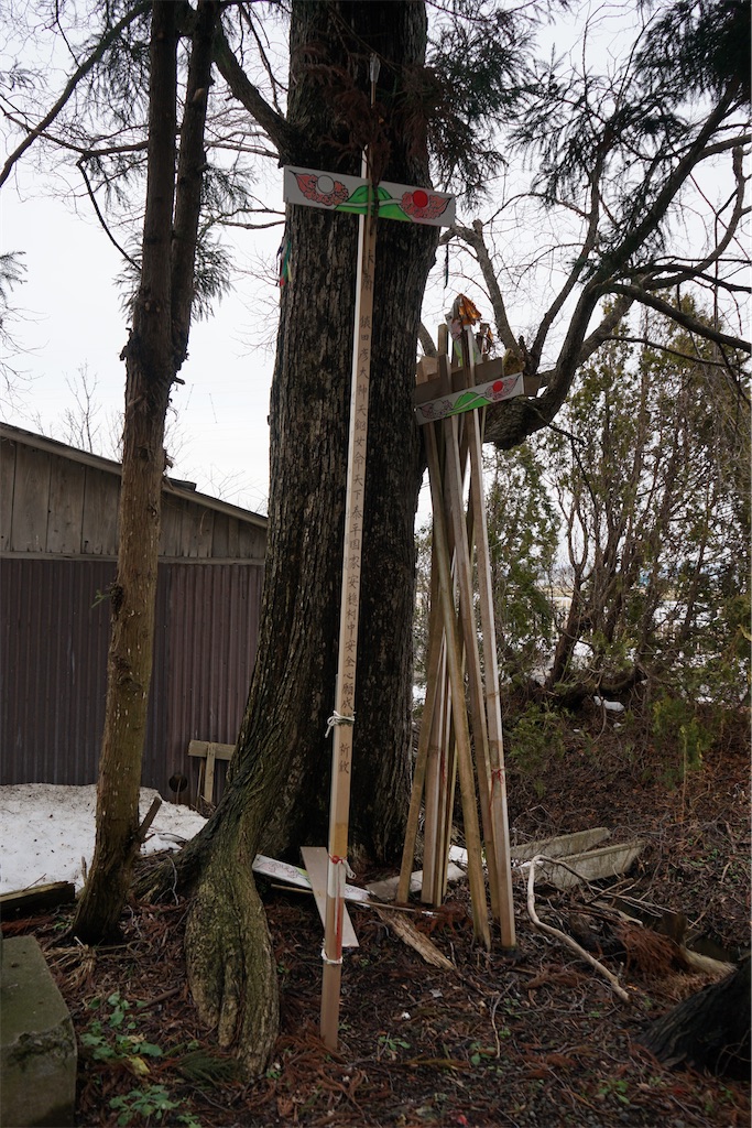 f:id:nagatorowo2:20241205161853j:image