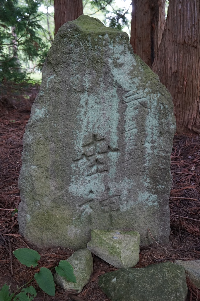 f:id:nagatorowo2:20241206215929j:image