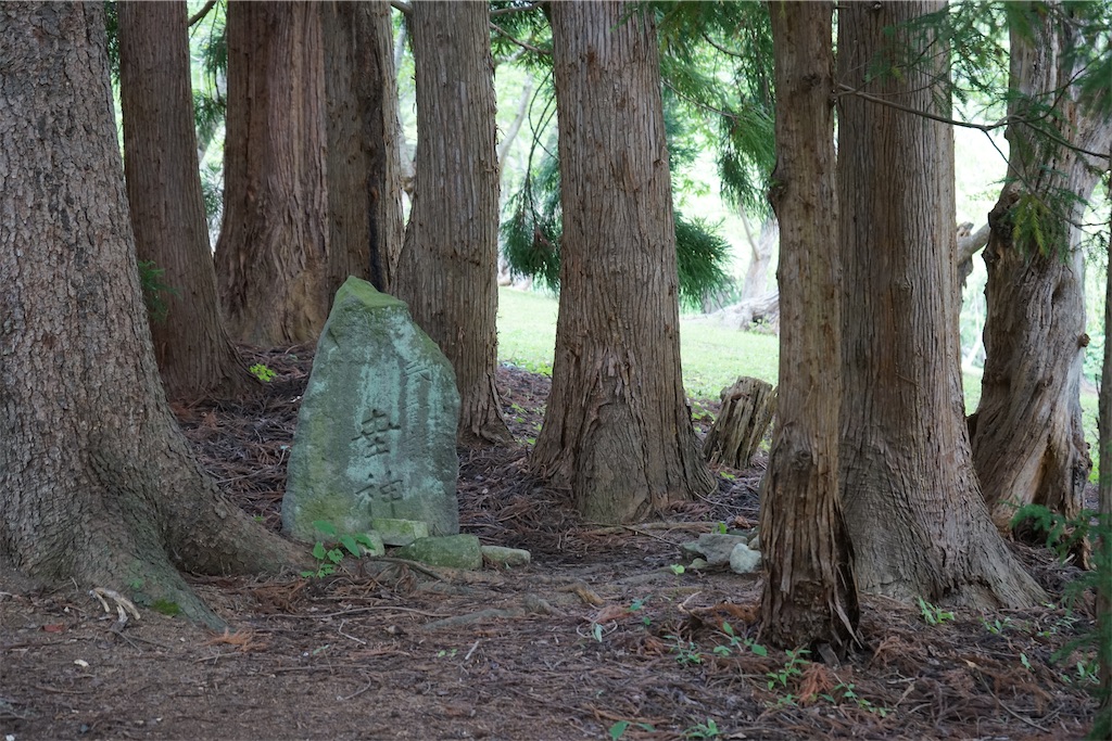 f:id:nagatorowo2:20241206215933j:image