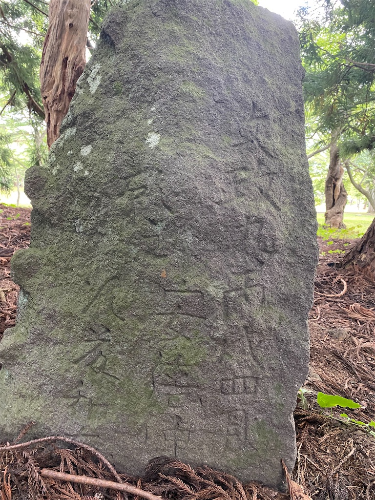 f:id:nagatorowo2:20241206215937j:image