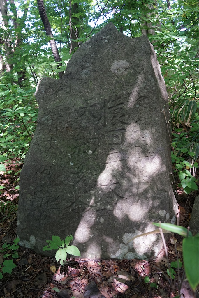 f:id:nagatorowo2:20241214171908j:image