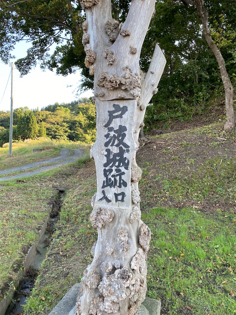 f:id:nagatorowo2:20241214172838j:image