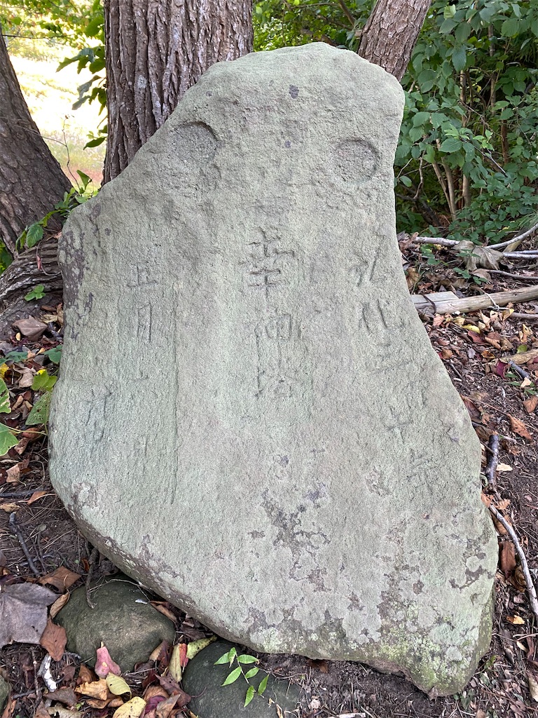 f:id:nagatorowo2:20241214172846j:image