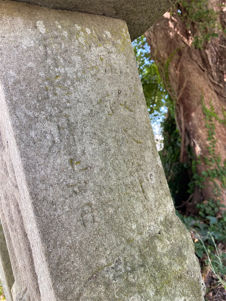 f:id:nagatorowo2:20241229211342j:image f:id:nagatorowo2:20241229211342j:image