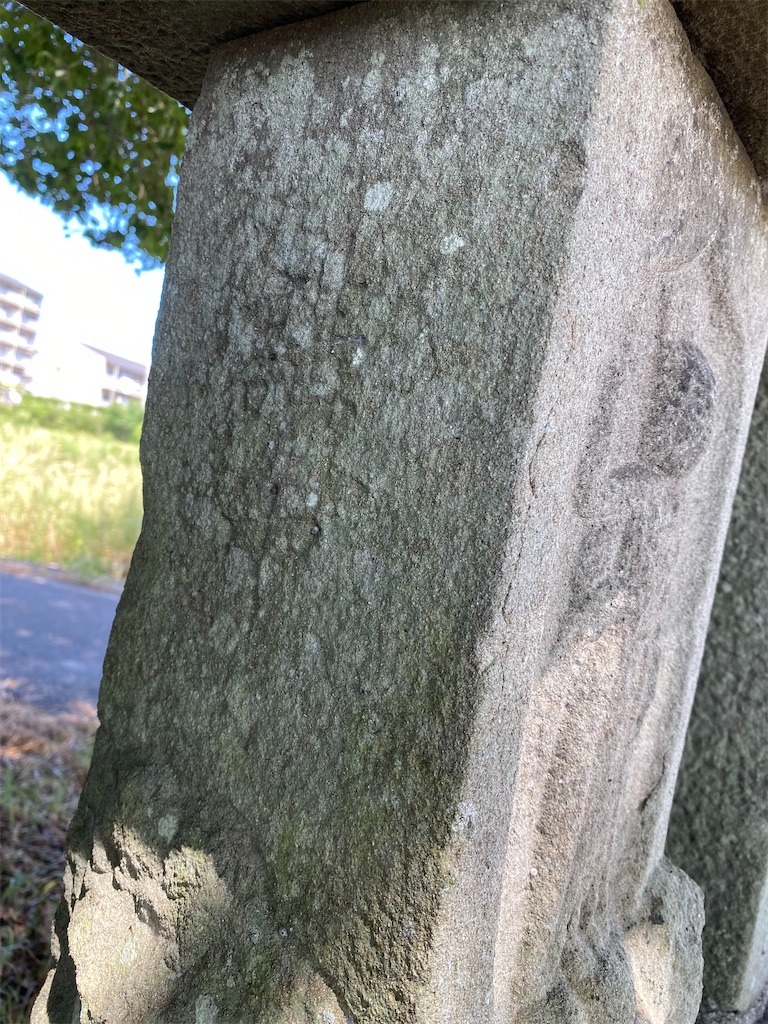 f:id:nagatorowo2:20241229211354j:image f:id:nagatorowo2:20241229211354j:image