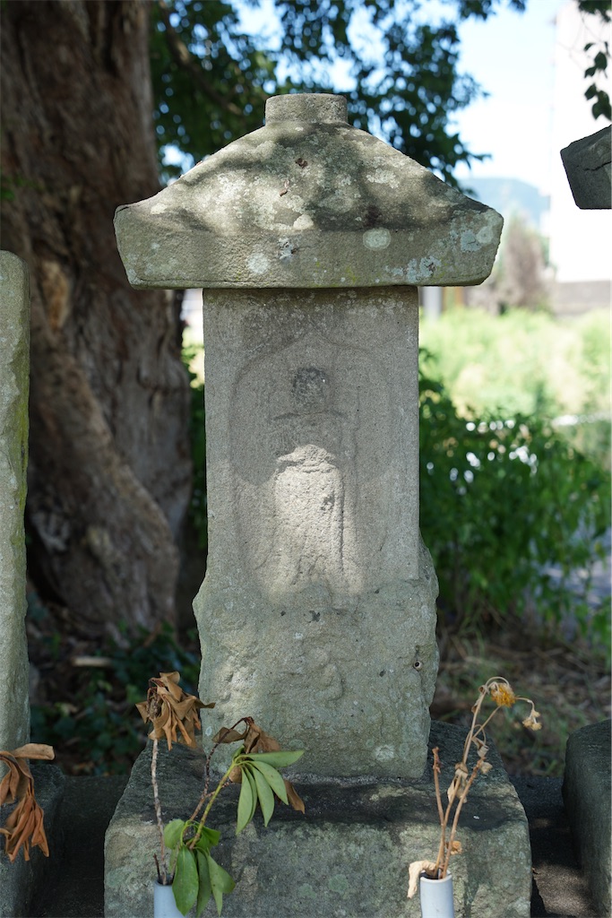 f:id:nagatorowo2:20241229211358j:image f:id:nagatorowo2:20241229211358j:image