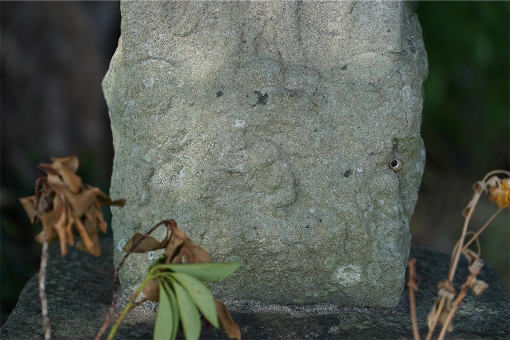 f:id:nagatorowo2:20241229211416j:image