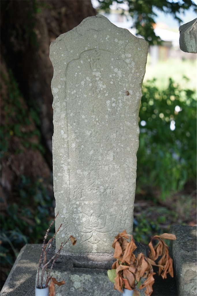 f:id:nagatorowo2:20241229211424j:image