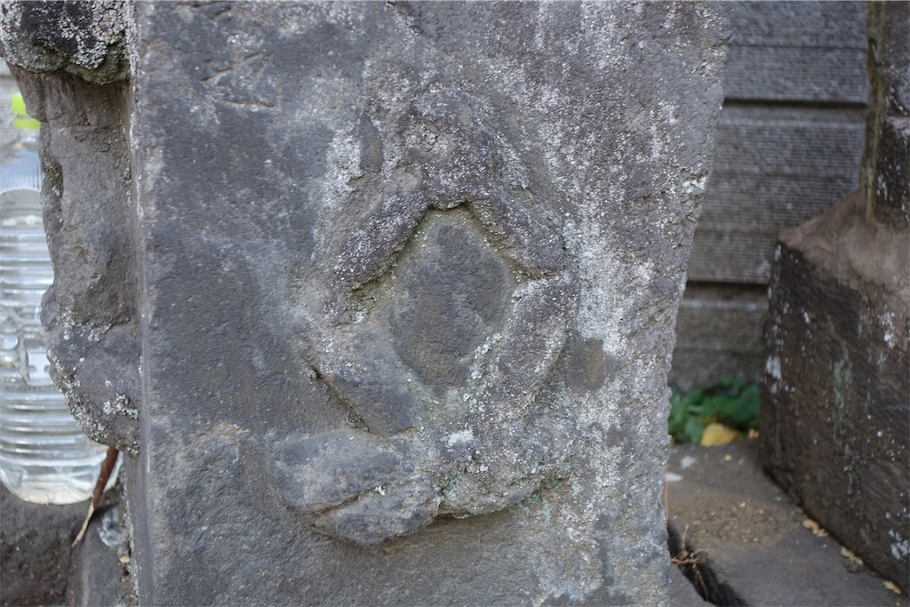 f:id:nagatorowo2:20250103213249j:image f:id:nagatorowo2:20250103213249j:image