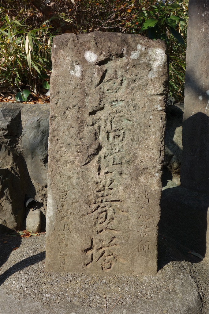 f:id:nagatorowo2:20250115142330j:image