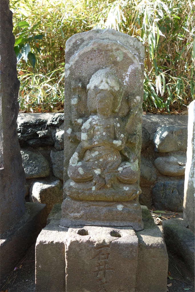 f:id:nagatorowo2:20250115143155j:image