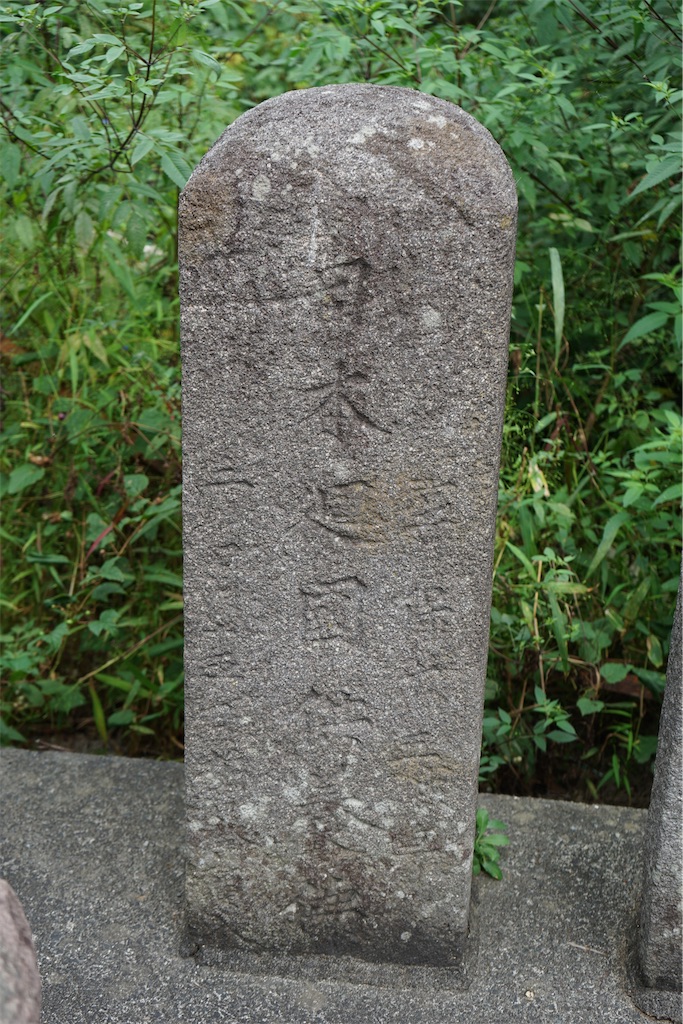 f:id:nagatorowo2:20250116115532j:image