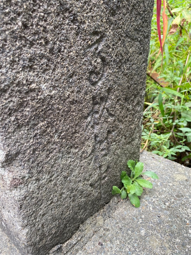 f:id:nagatorowo2:20250116121526j:image f:id:nagatorowo2:20250116121526j:image