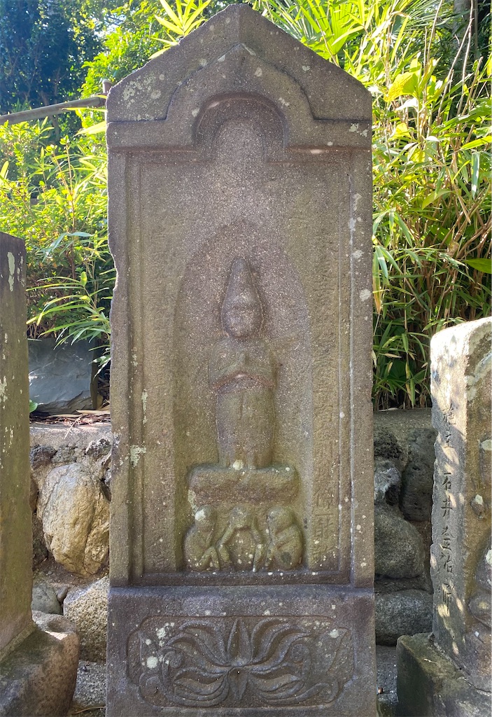 f:id:nagatorowo2:20250117055814j:image f:id:nagatorowo2:20250117055814j:image