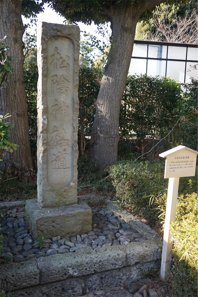 f:id:nagatorowo2:20250119130125j:image