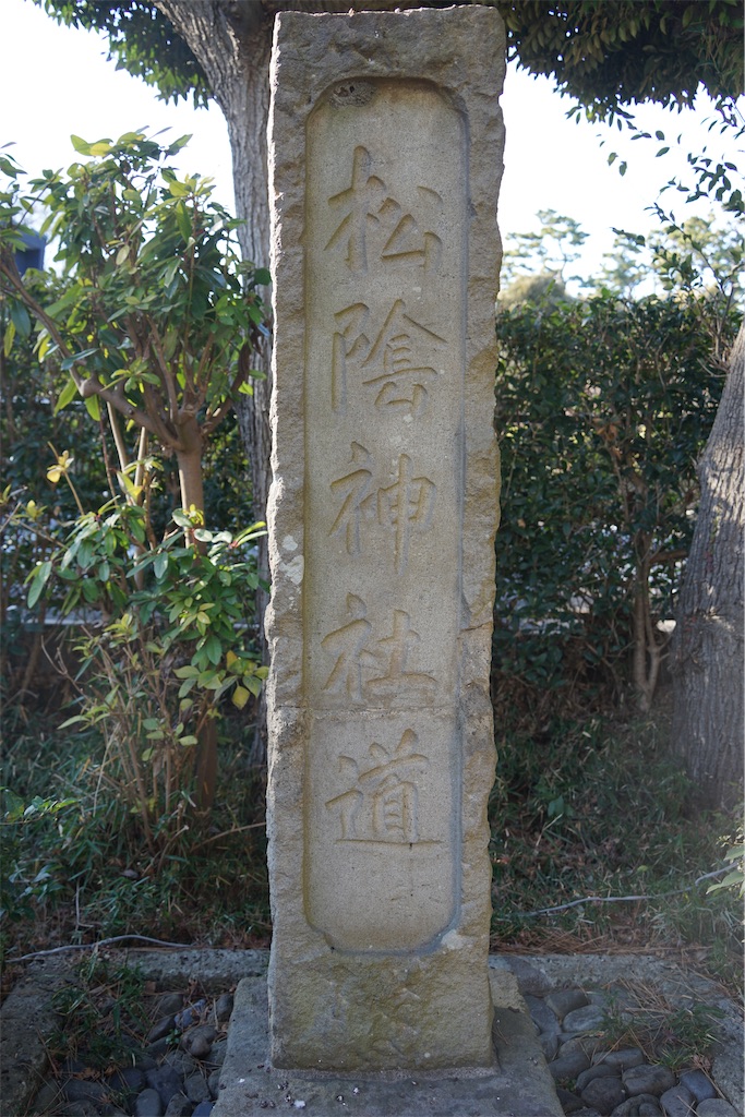 f:id:nagatorowo2:20250119130145j:image