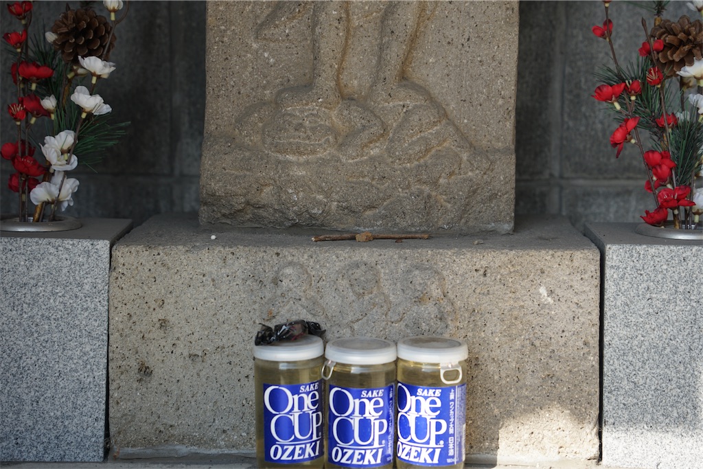 f:id:nagatorowo2:20250123232916j:image