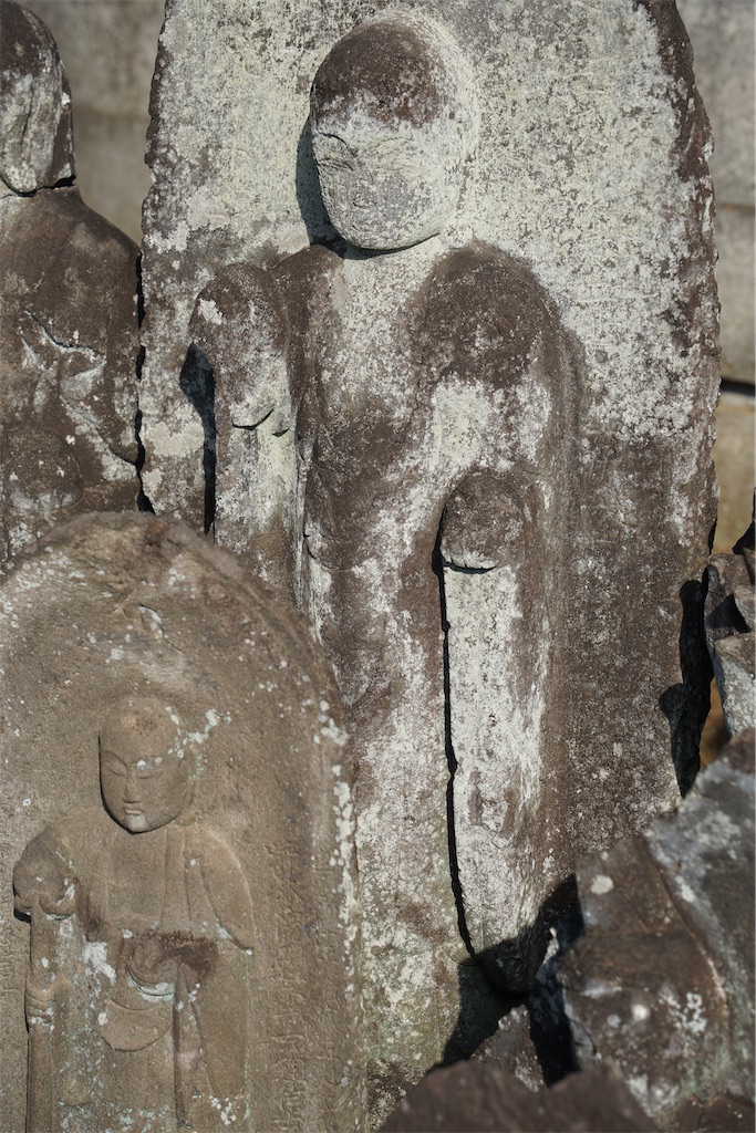 f:id:nagatorowo2:20250123234926j:image