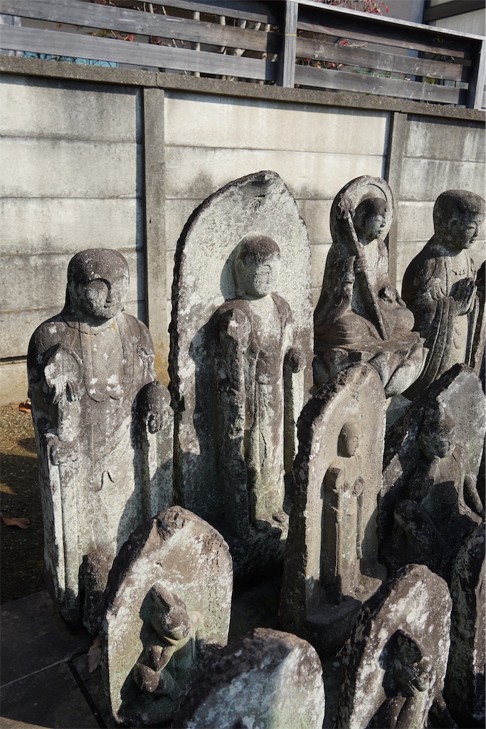 f:id:nagatorowo2:20250123234930j:image