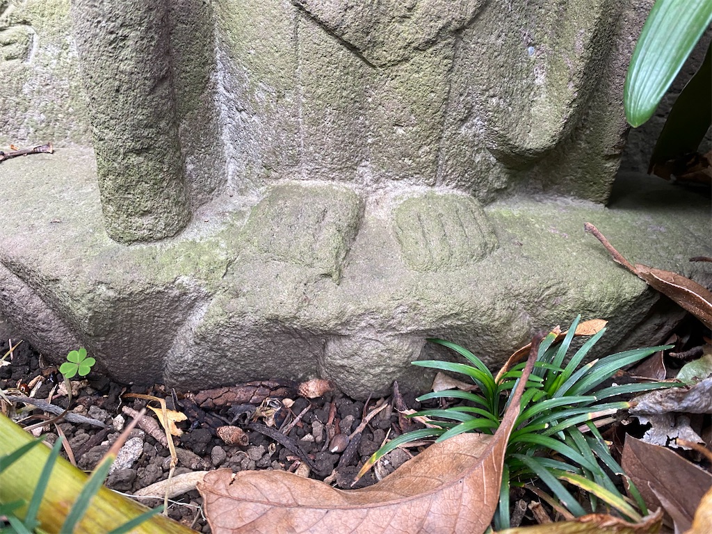 f:id:nagatorowo2:20250204112345j:image