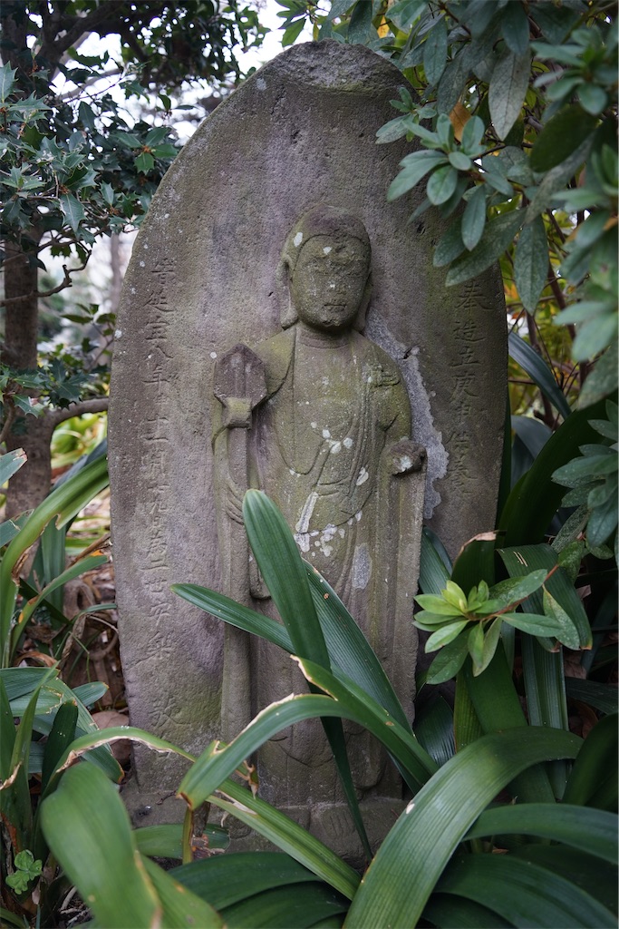 f:id:nagatorowo2:20250204112349j:image