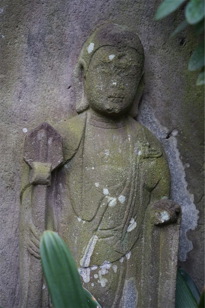 f:id:nagatorowo2:20250204112353j:image