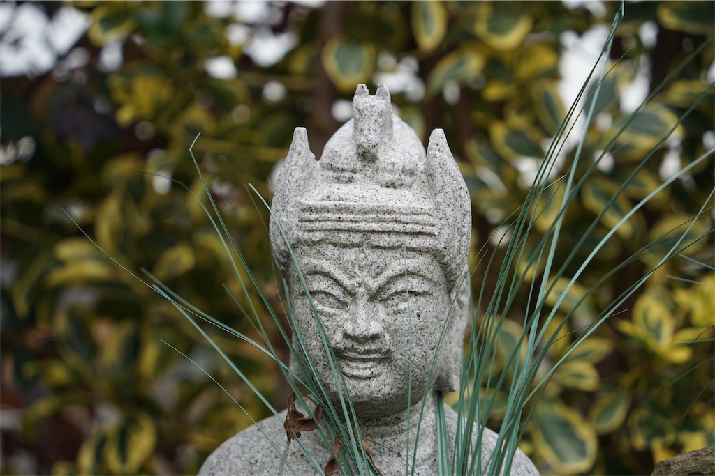 f:id:nagatorowo2:20250204113014j:image