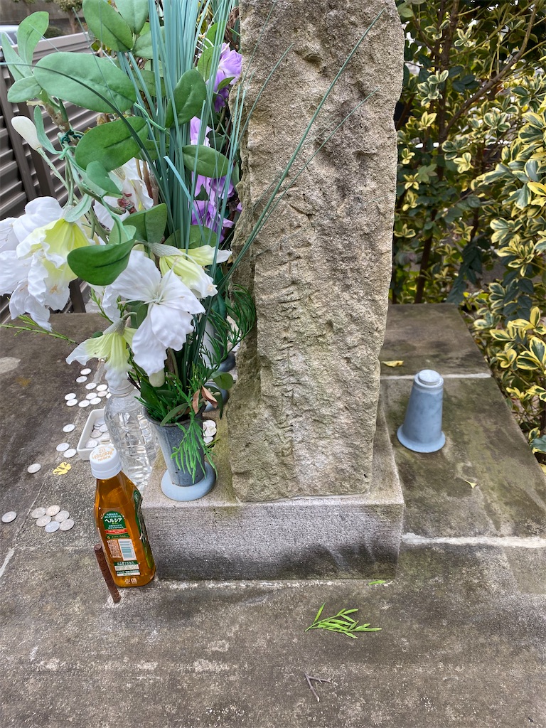 f:id:nagatorowo2:20250204113018j:image