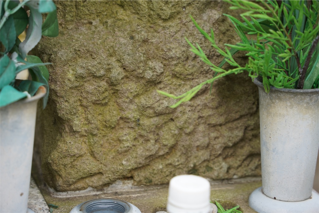 f:id:nagatorowo2:20250204113025j:image