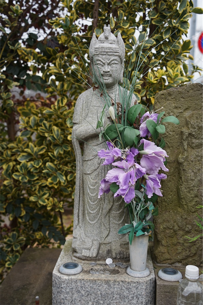 f:id:nagatorowo2:20250204113033j:image