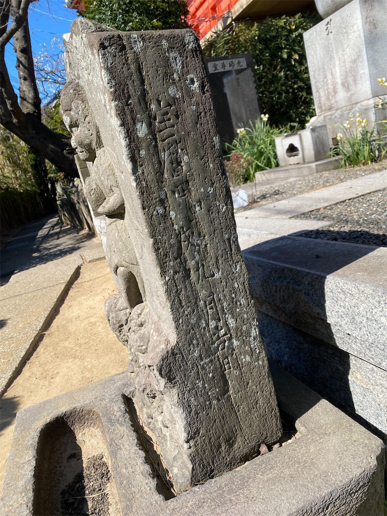 f:id:nagatorowo2:20250303110527j:image