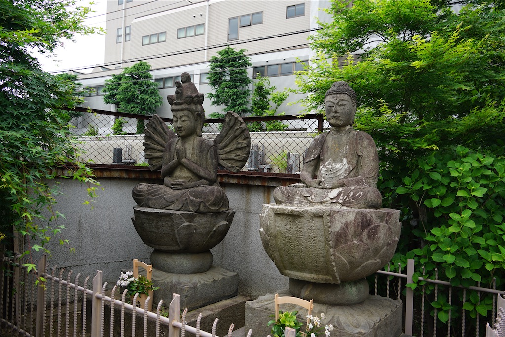 f:id:nagatorowo2:20250305215515j:image
