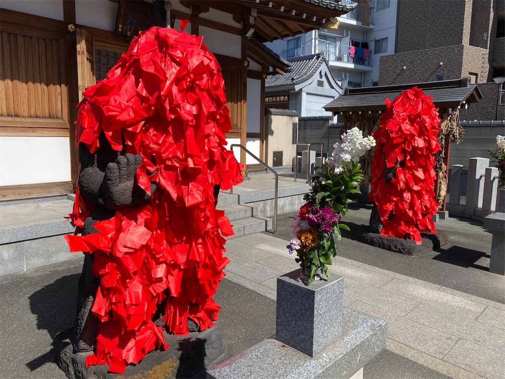 f:id:nagatorowo2:20250307224122j:image