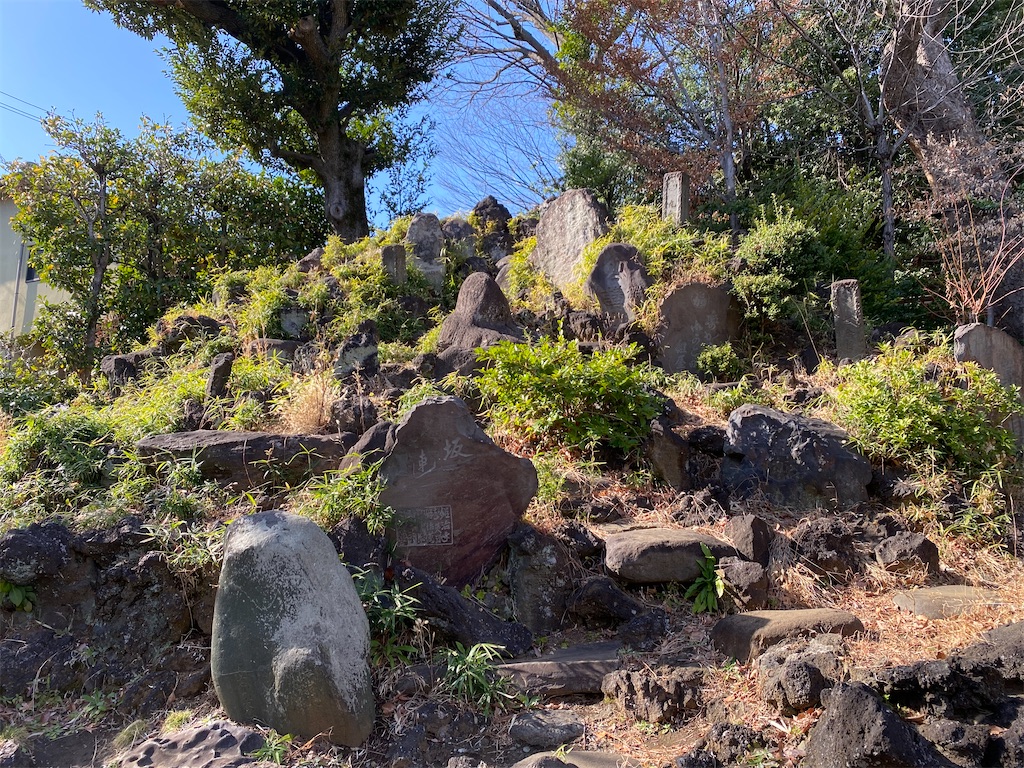 f:id:nagatorowo2:20250307224142j:image