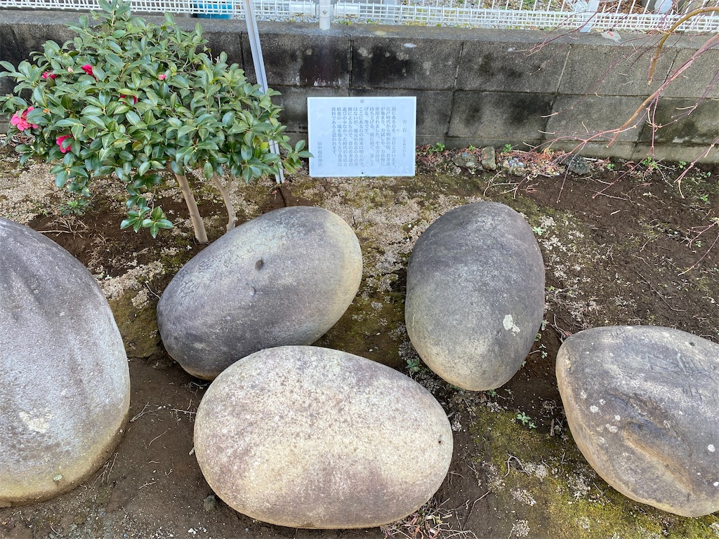 f:id:nagatorowo2:20250309223231j:image