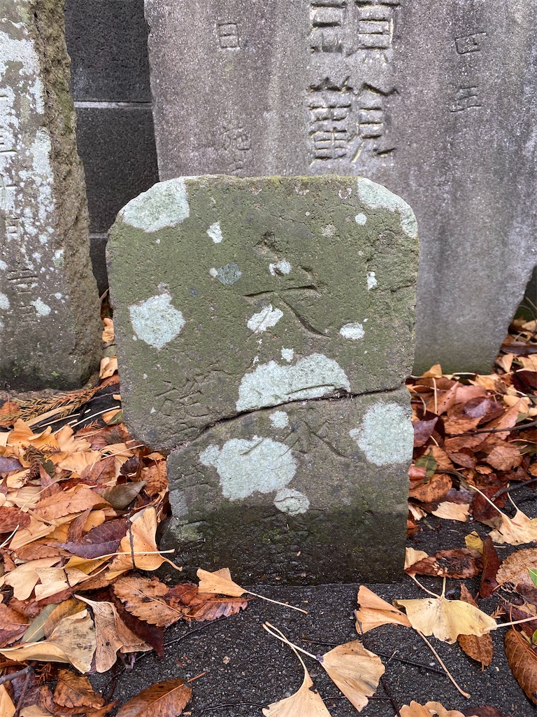 f:id:nagatorowo2:20250314175659j:image