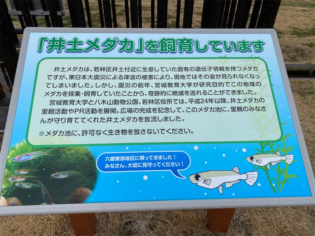 f:id:nagatorowo2:20250326210112j:image