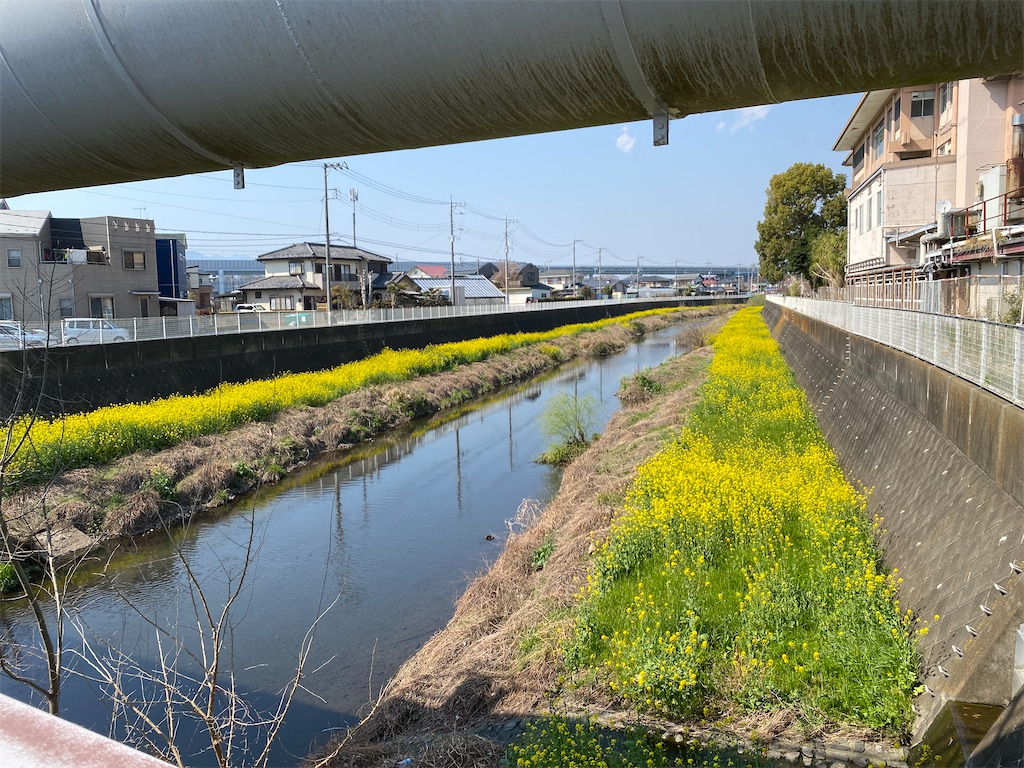 f:id:nagatorowo2:20250326210133j:image