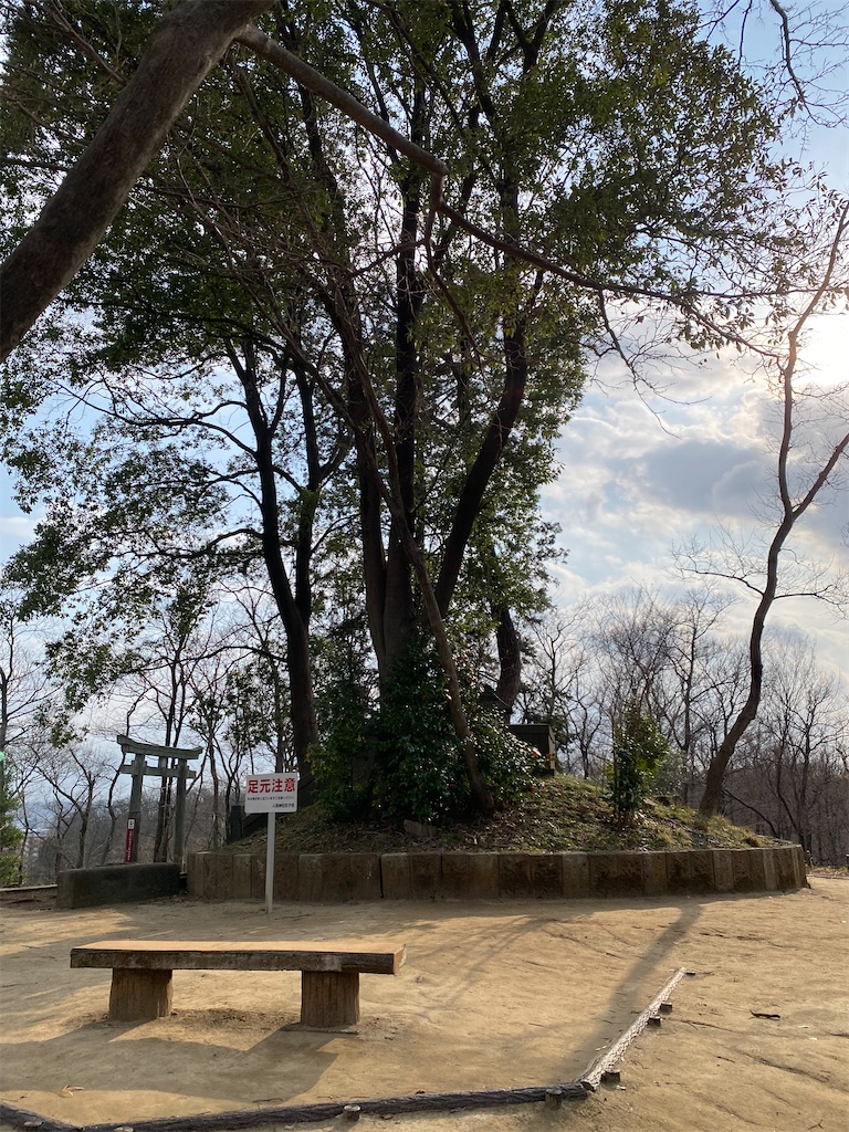 f:id:nagatorowo2:20250326210137j:image