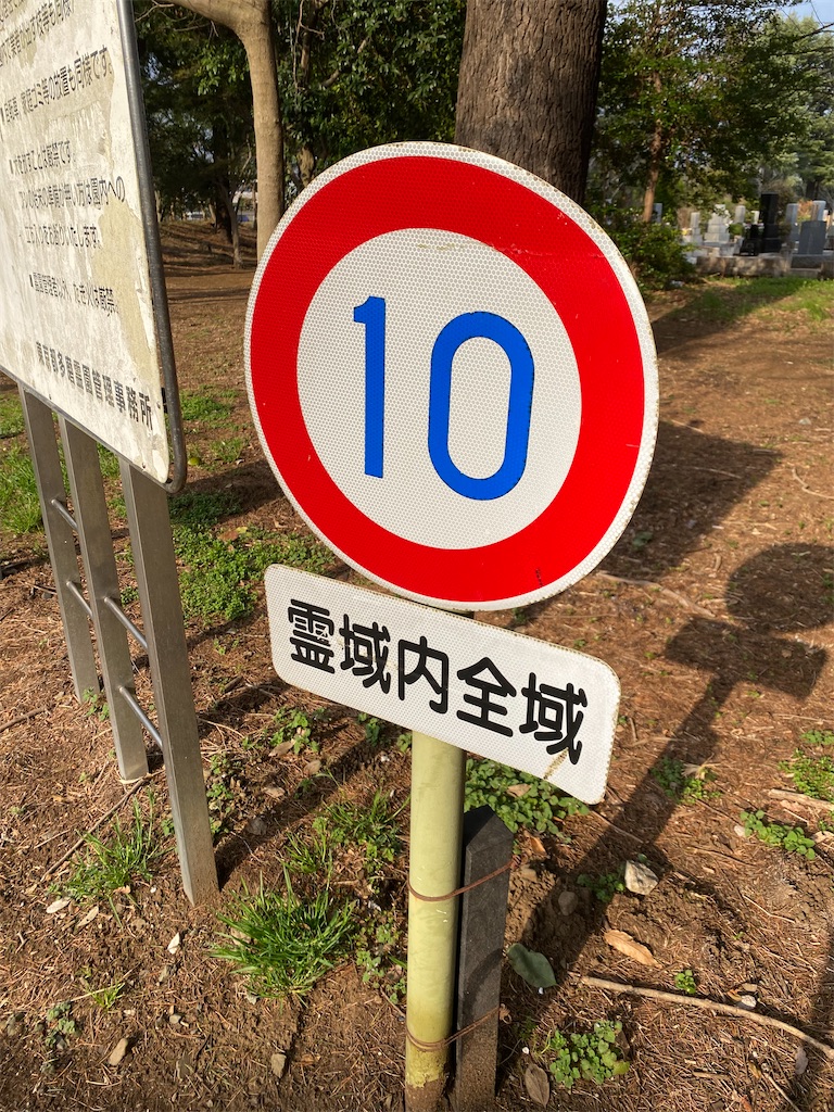 f:id:nagatorowo2:20250326210202j:image