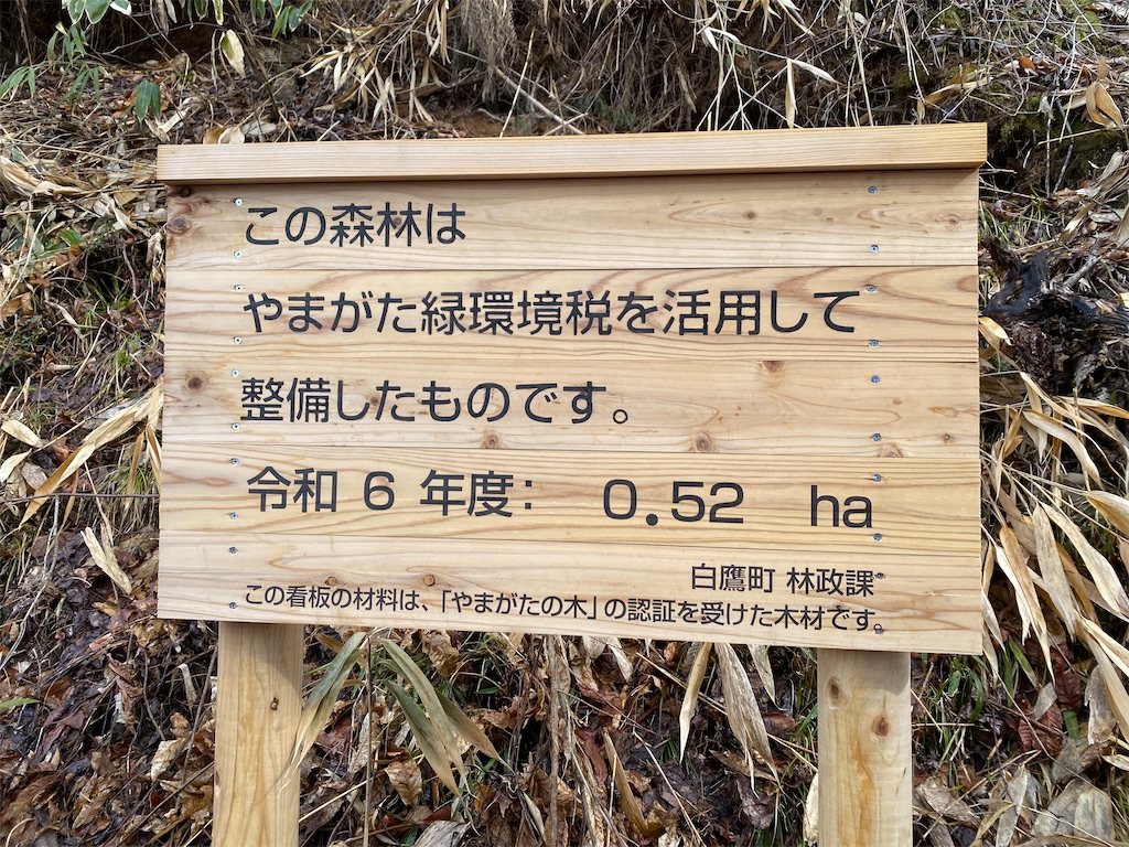 f:id:nagatorowo2:20250326210213j:image