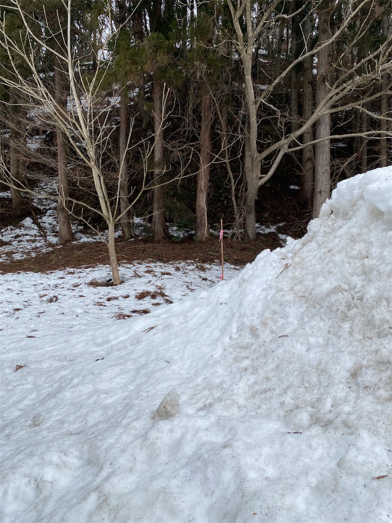 f:id:nagatorowo2:20250326210221j:image